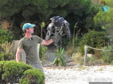 В гости к орлам на фуникулёре