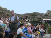 В гости к орлам на фуникулёре