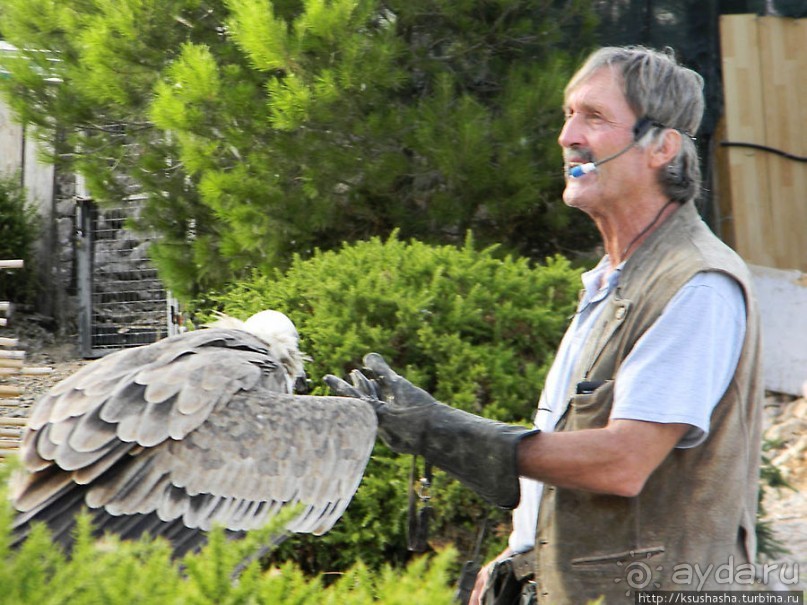 В гости к орлам на фуникулёре