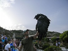 В гости к орлам на фуникулёре