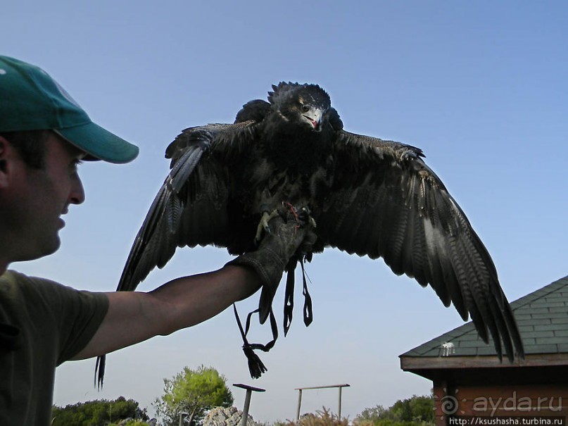В гости к орлам на фуникулёре