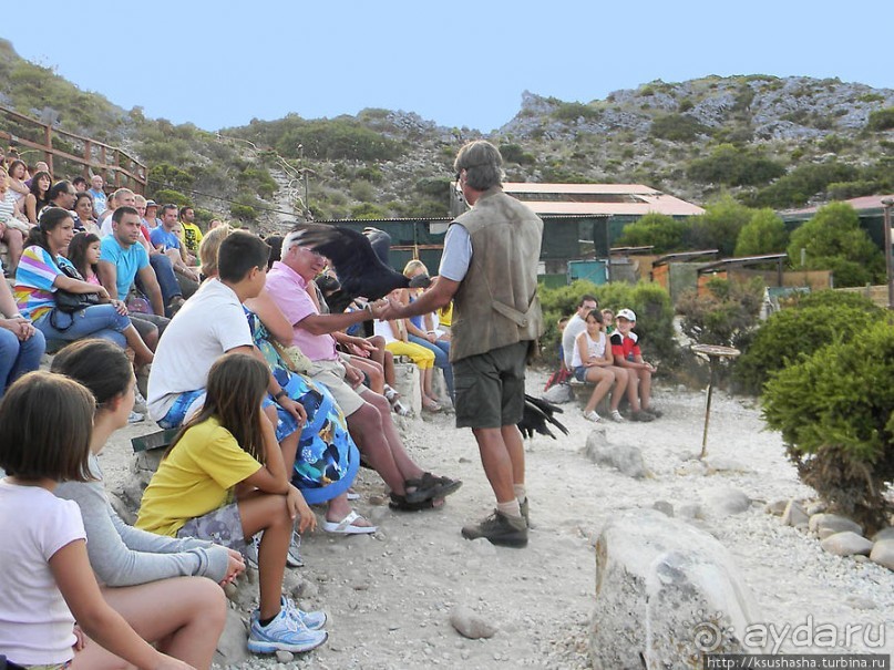 В гости к орлам на фуникулёре