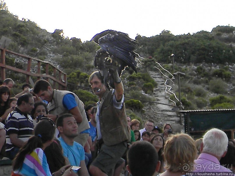 В гости к орлам на фуникулёре