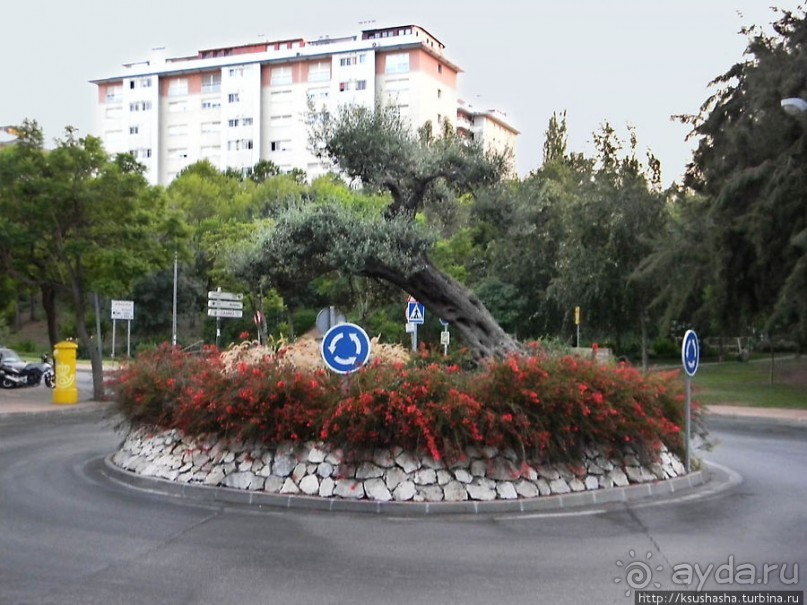 В гости к орлам на фуникулёре