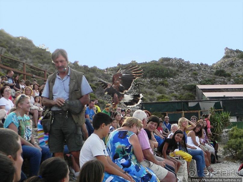 В гости к орлам на фуникулёре