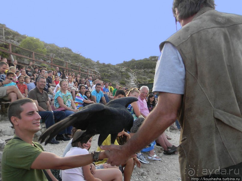 В гости к орлам на фуникулёре