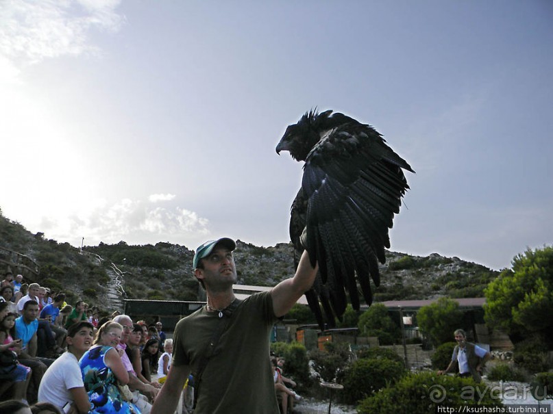 В гости к орлам на фуникулёре