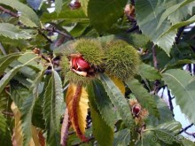 По пути на Этну