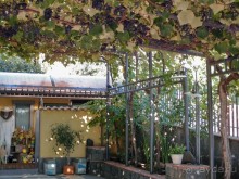 Альбом отзыва "По пути на Этну"