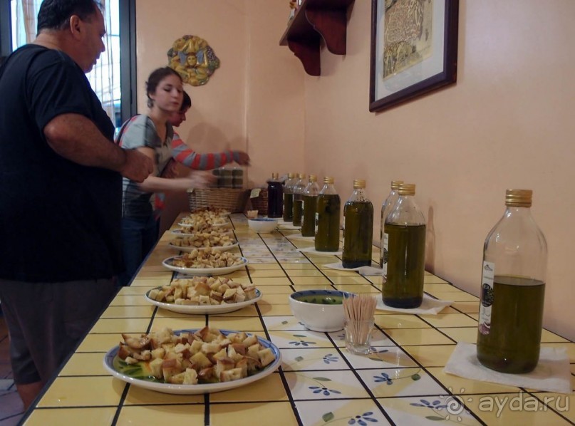 Альбом отзыва "По пути на Этну"