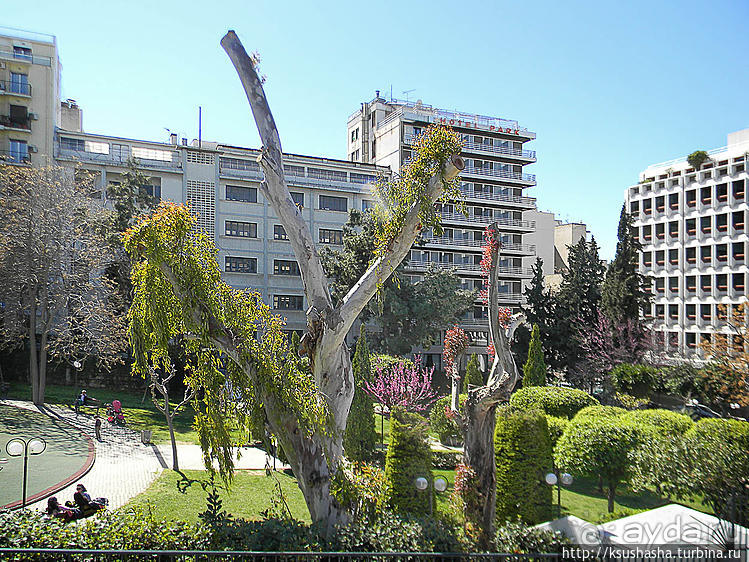 В Пирей — на туристическом автобусе