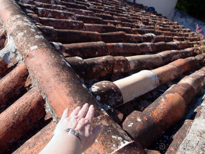 Обидуш (ч.1) Касаясь крыш твоих ладонью