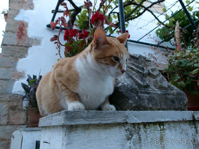 Обидуш (ч.1) Касаясь крыш твоих ладонью