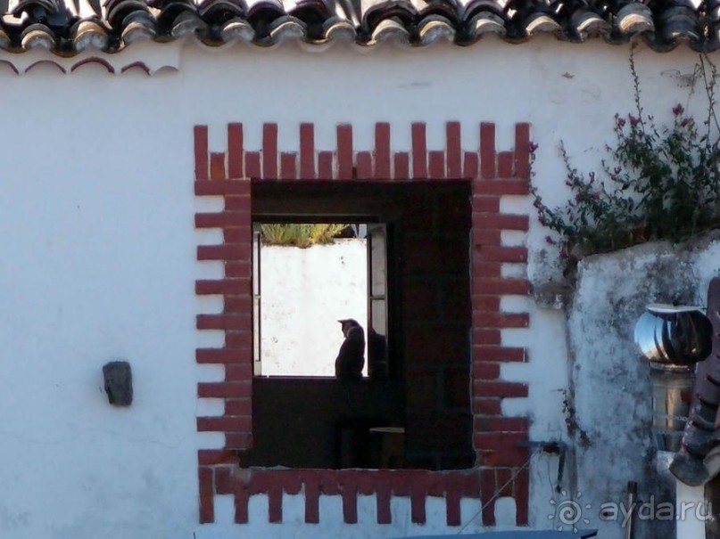 Обидуш (ч.1) Касаясь крыш твоих ладонью