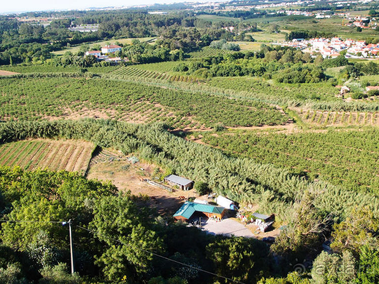 Обидуш (ч.1) Касаясь крыш твоих ладонью