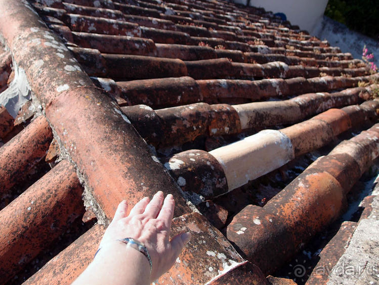 Обидуш (ч.1) Касаясь крыш твоих ладонью