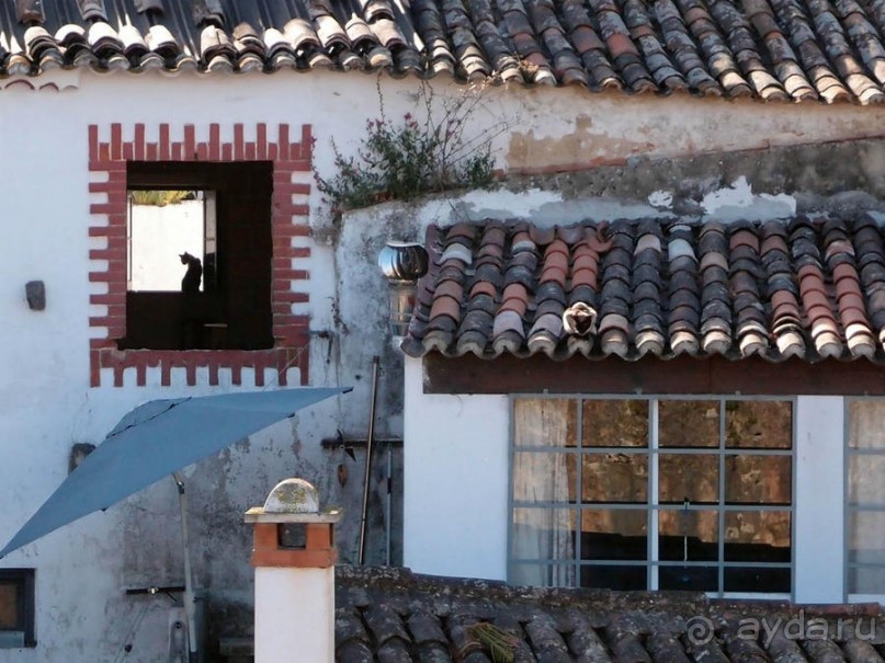 Обидуш (ч.1) Касаясь крыш твоих ладонью