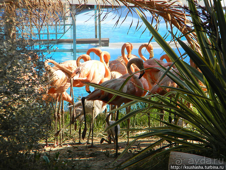 Напоследок — по полной программе