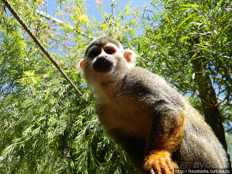 Напоследок — по полной программе