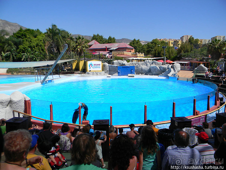 Напоследок — по полной программе