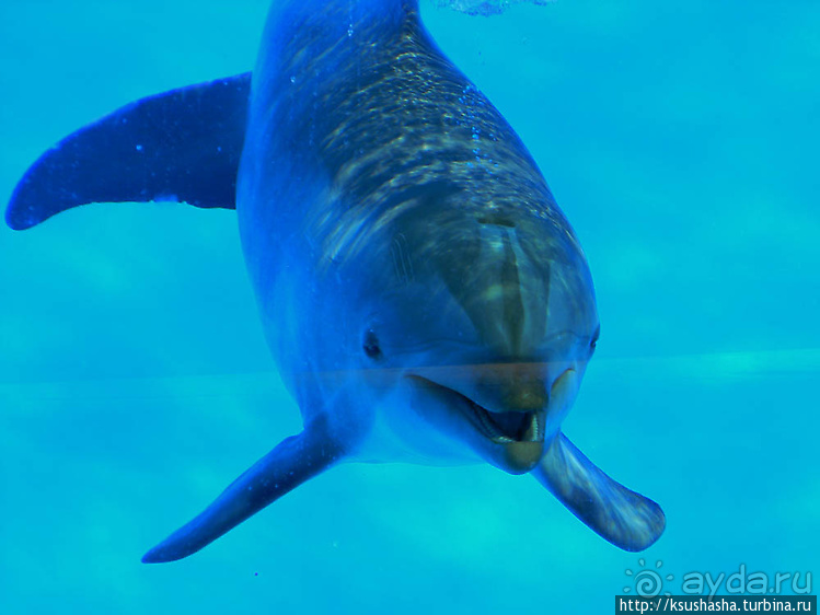 Напоследок — по полной программе