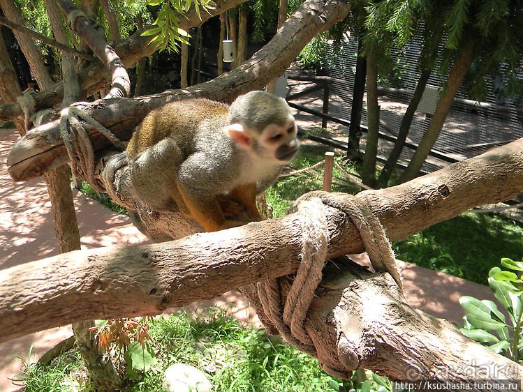 Напоследок — по полной программе