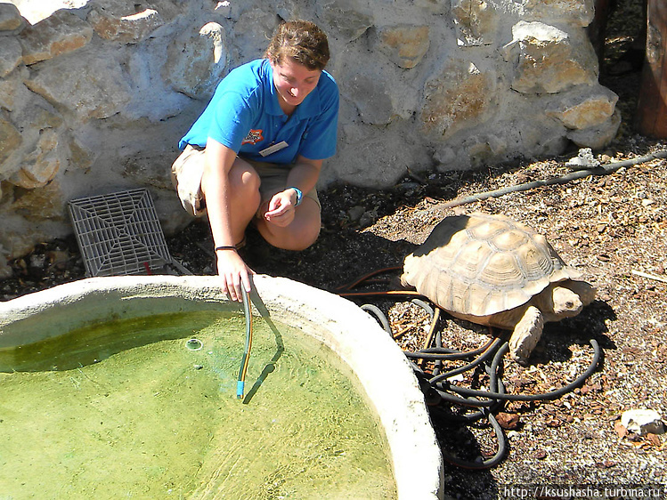 Напоследок — по полной программе
