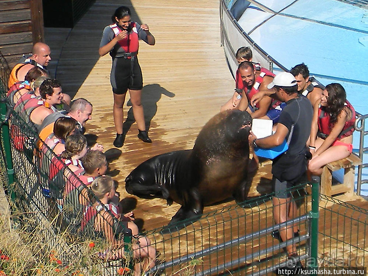 Напоследок — по полной программе