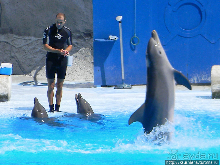Напоследок — по полной программе