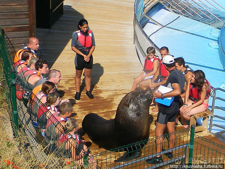 Напоследок — по полной программе
