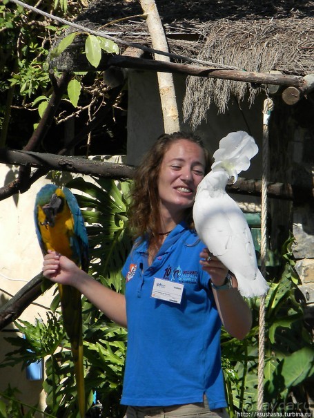 Напоследок — по полной программе