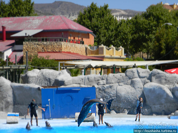Напоследок — по полной программе