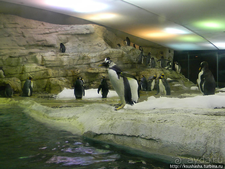 Напоследок — по полной программе