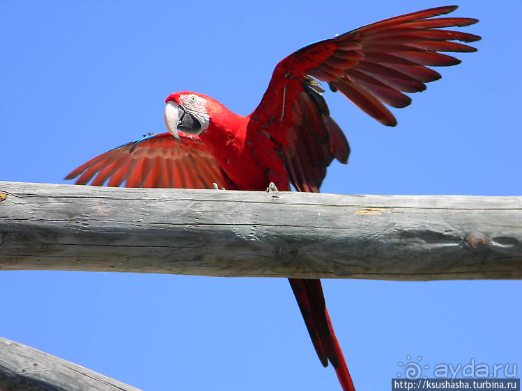 Напоследок — по полной программе