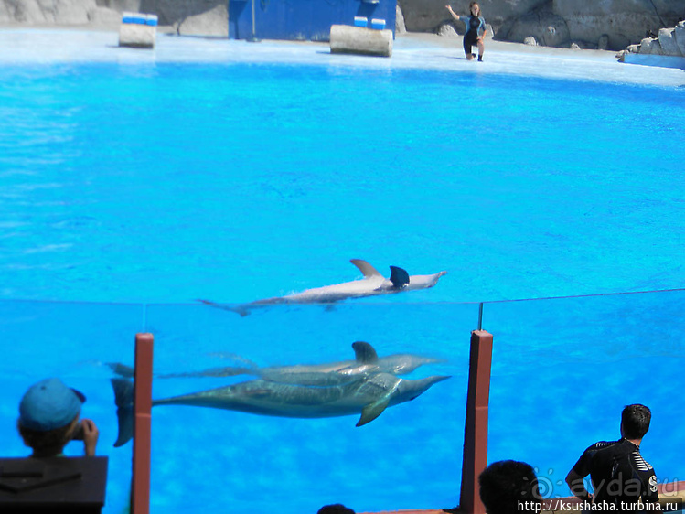 Напоследок — по полной программе