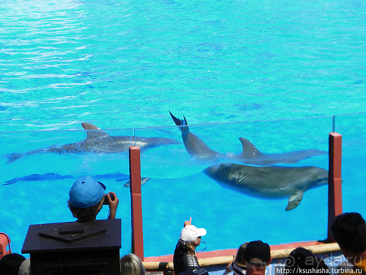 Напоследок — по полной программе