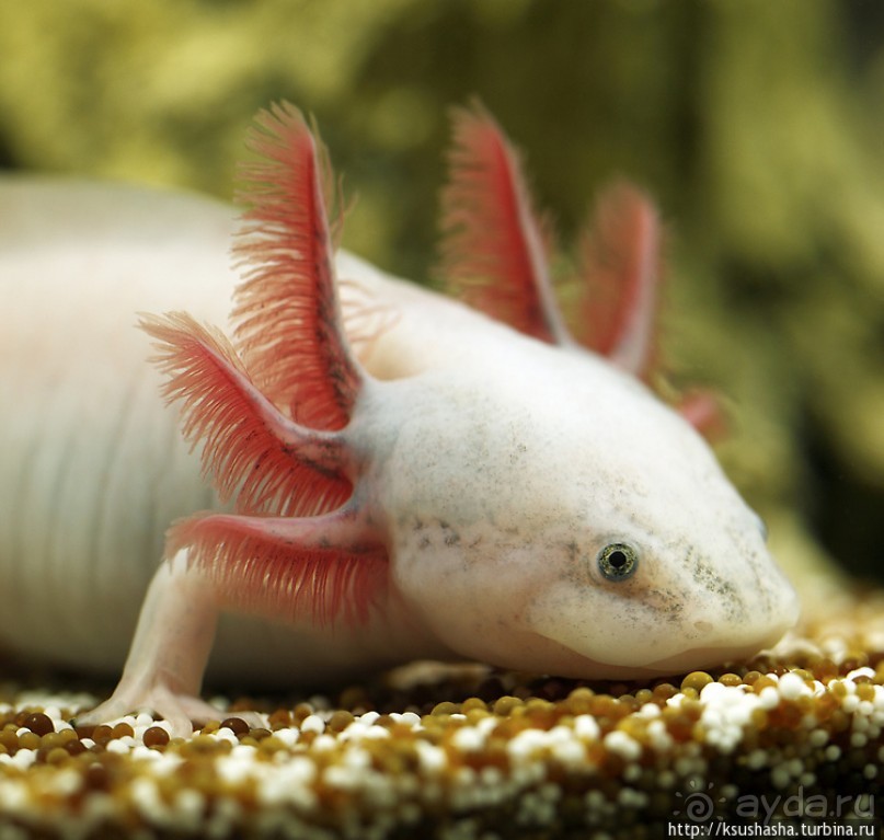 Напоследок — по полной программе