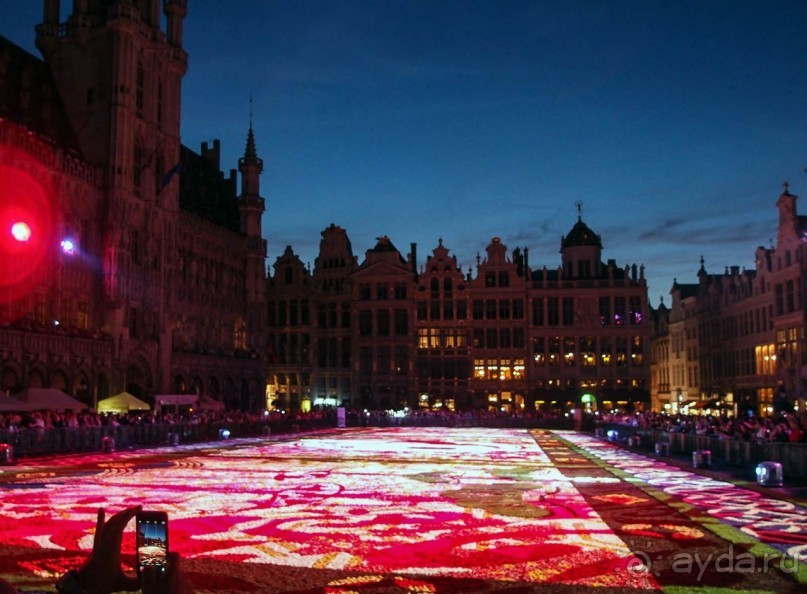 Ковёр — самолёт