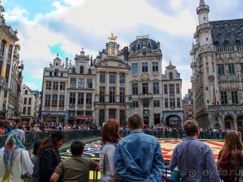 Ковёр — самолёт