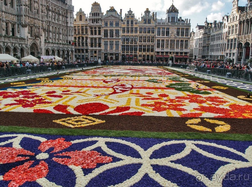 Ковёр — самолёт