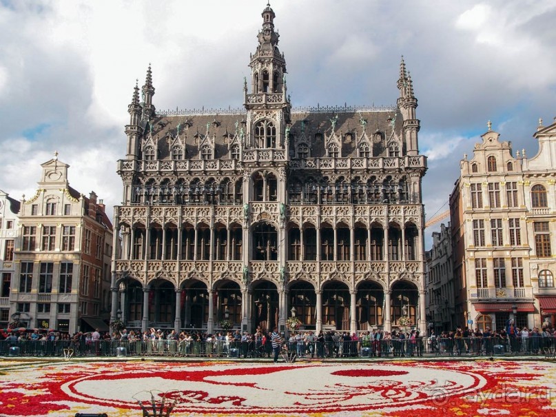 Ковёр — самолёт