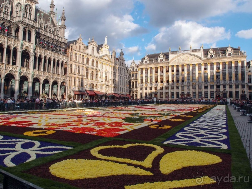 Ковёр — самолёт