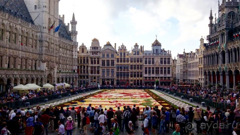 Ковёр — самолёт