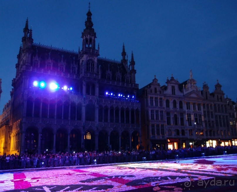 Ковёр — самолёт