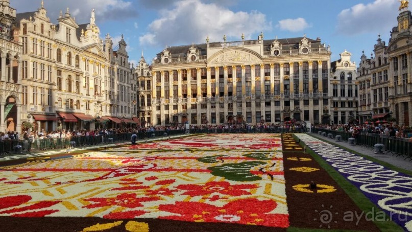 Ковёр — самолёт