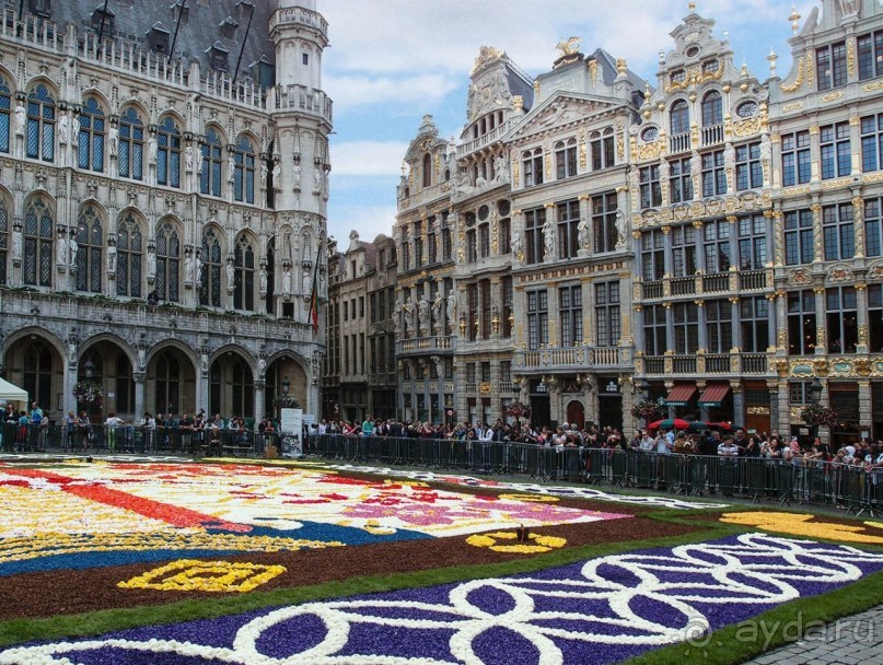 Ковёр — самолёт