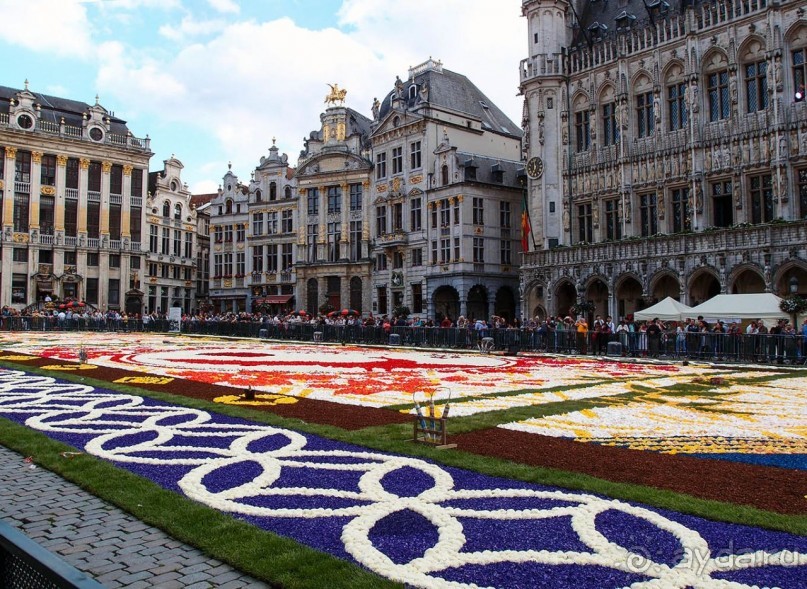 Ковёр — самолёт