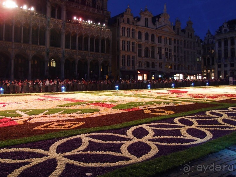 Ковёр — самолёт