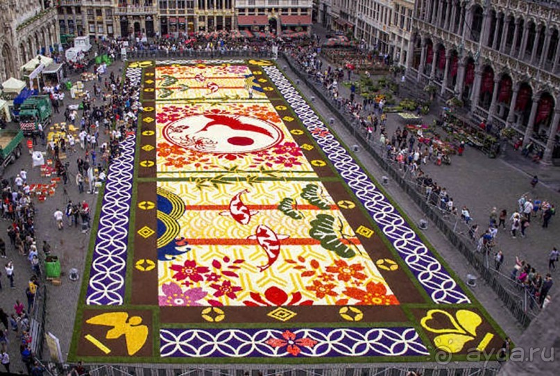 Ковёр — самолёт