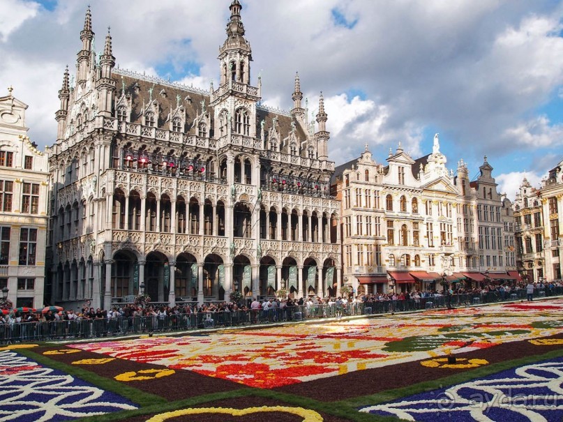 Ковёр — самолёт